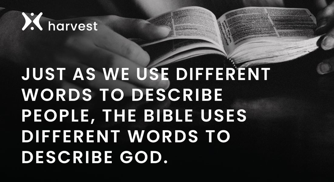 Daily Devo