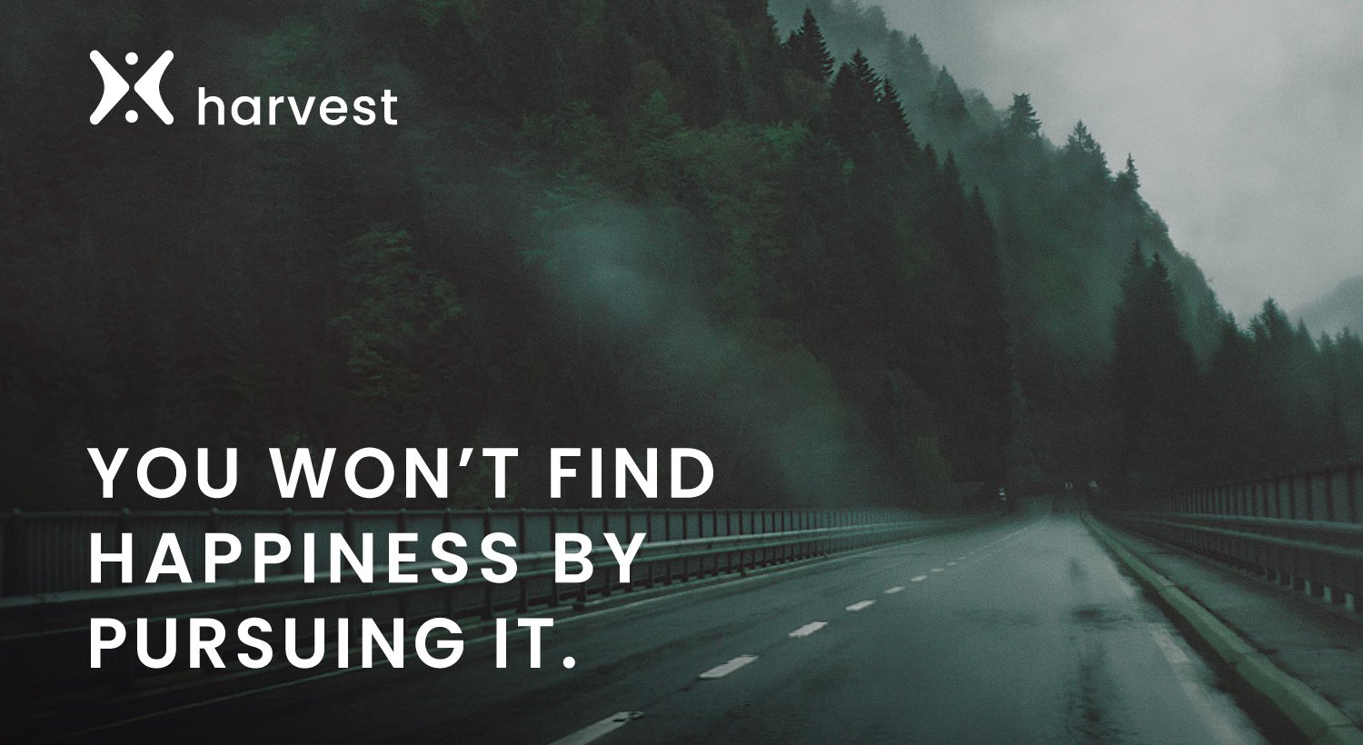 You won’t find happiness by pursuing it. You won’t find happiness by pursuing it.