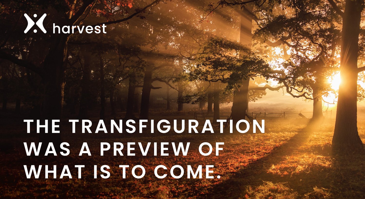 The Transfiguration was a preview of what is to come. The Transfiguration was a preview of what is to come.