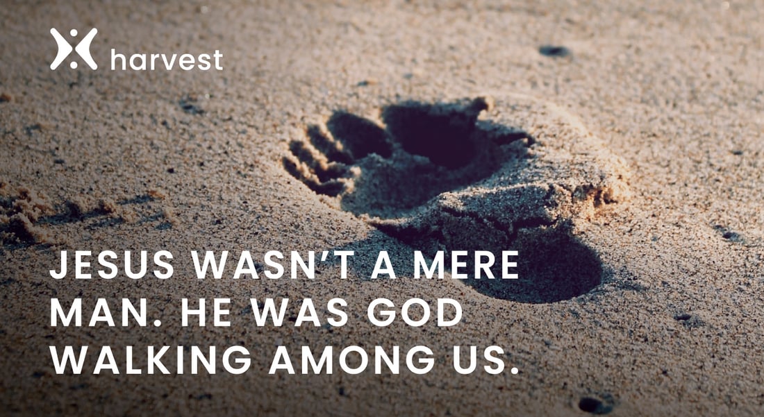 Daily Devo