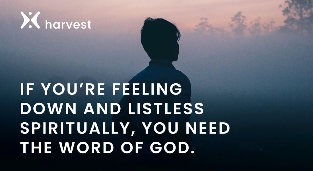 Daily Devo