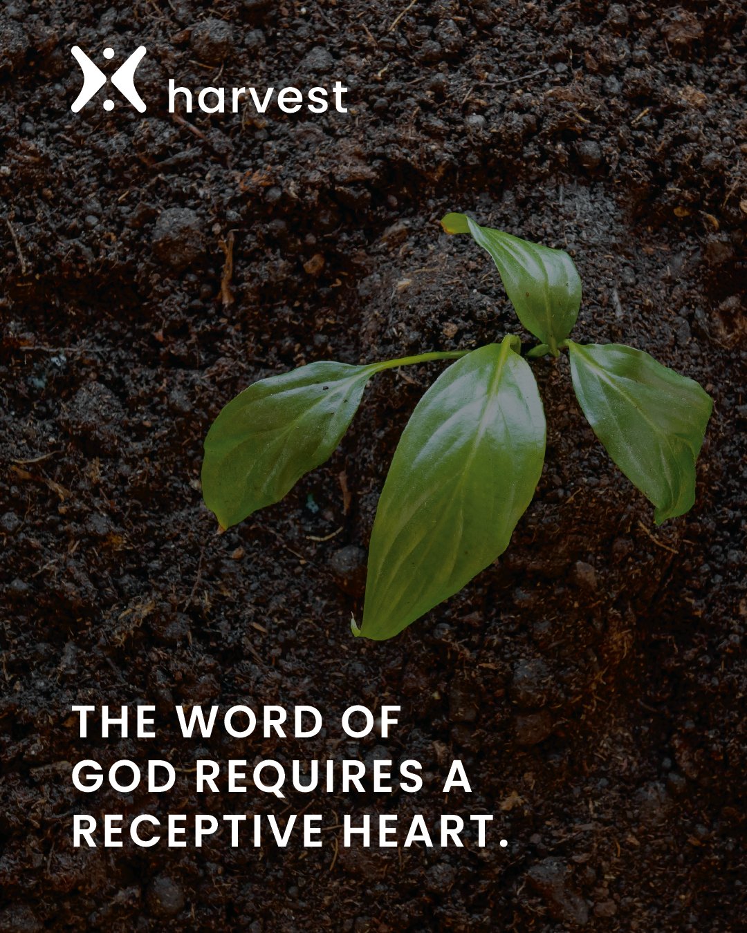 The Word of God requires a receptive heart.
