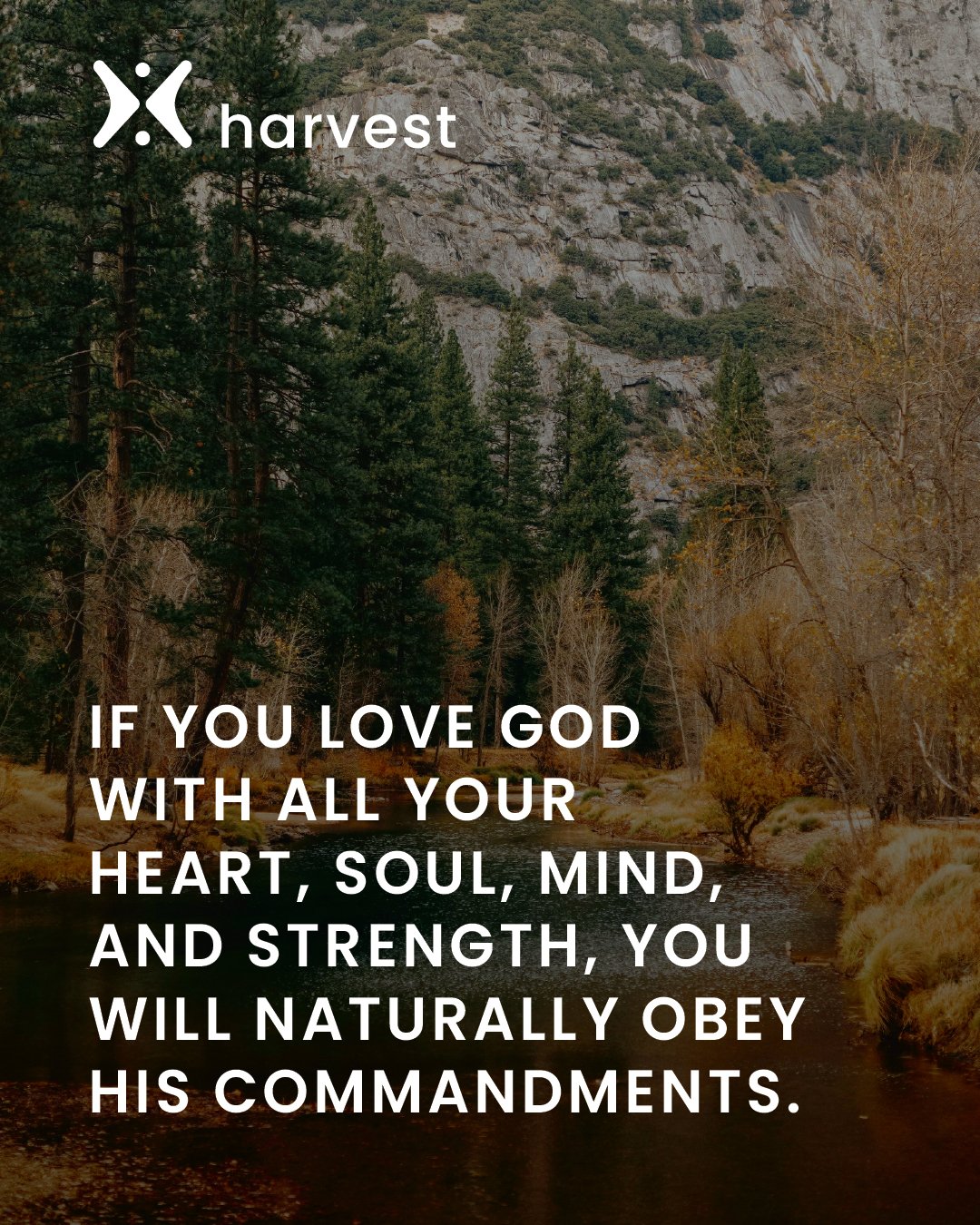 If you love God with all your heart, soul, mind, and strength, you will naturally obey His commandments.