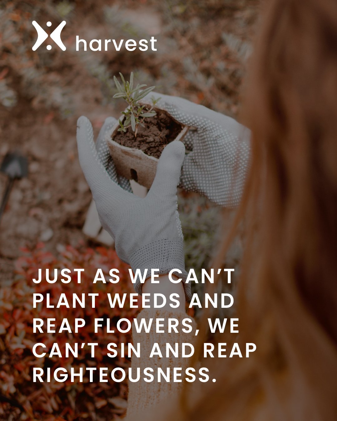 Just as we can't plant weeds and reap flowers, we can't sin and reap righteousness.