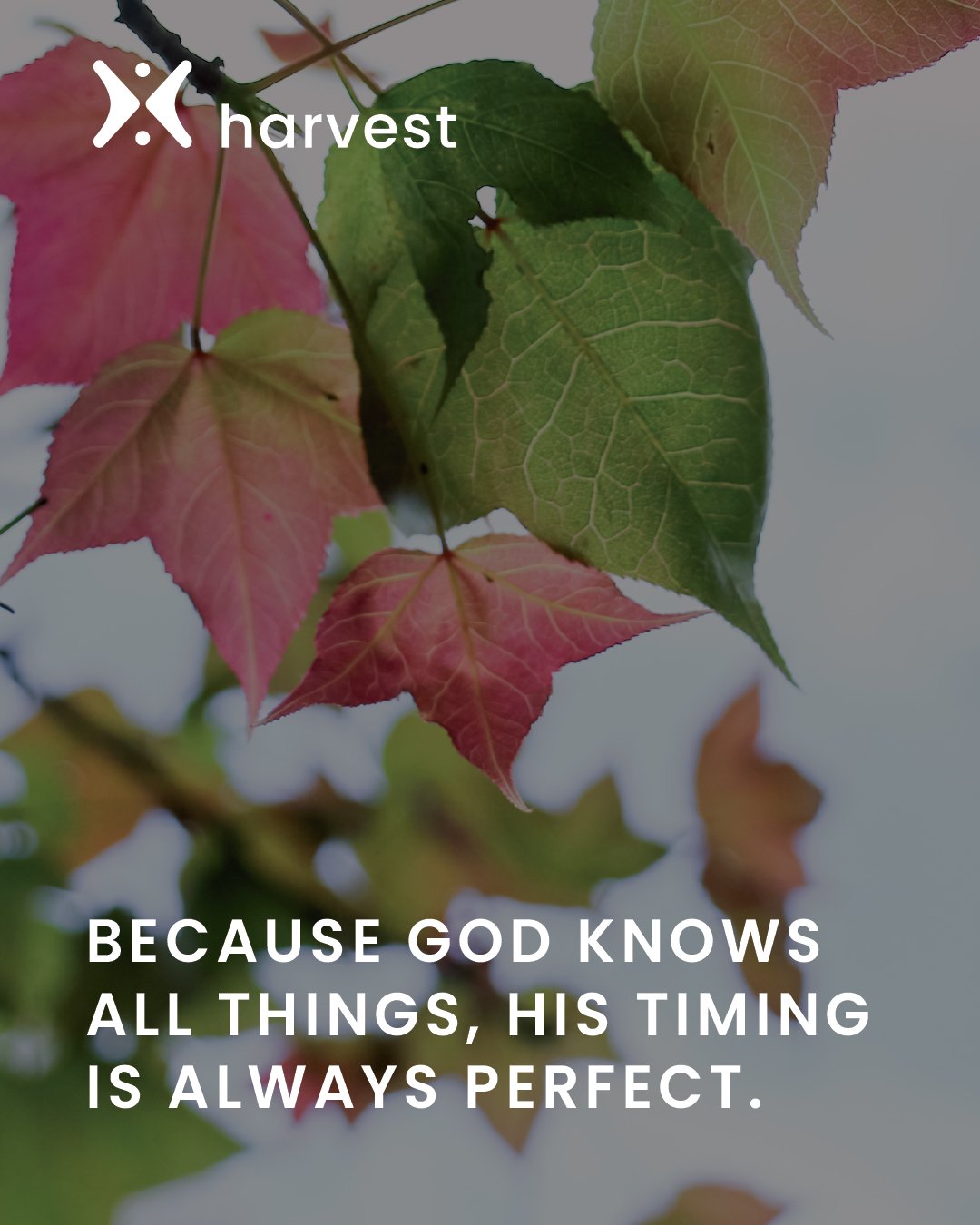 Because God knows all things, His timing is always perfect.