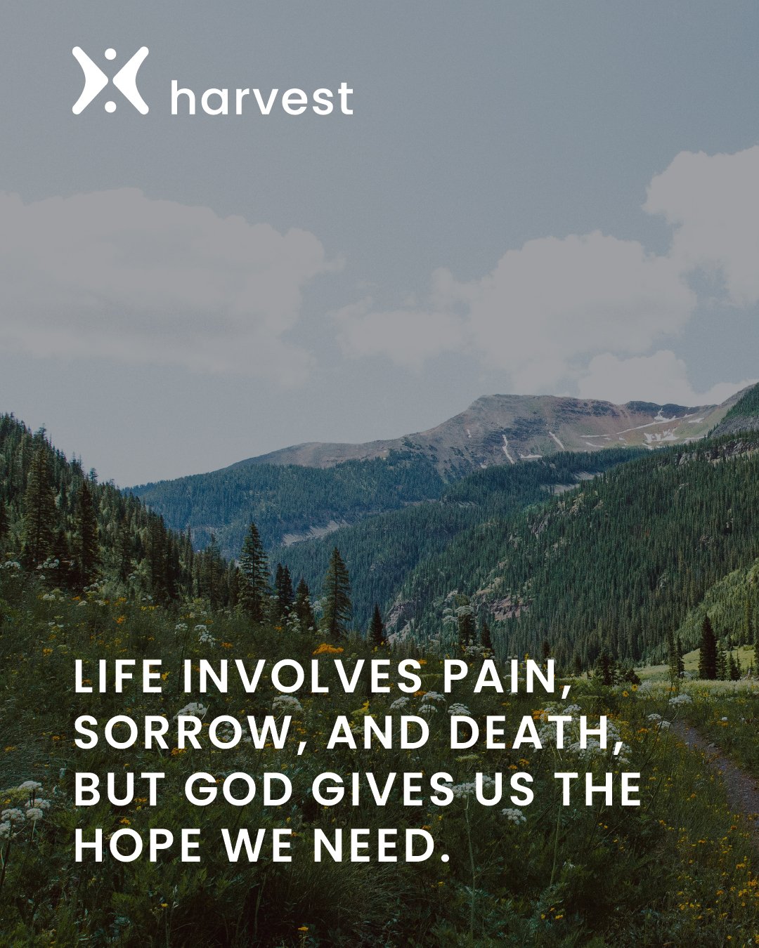 Life involves pain, sorrow, and death, but God gives us the hope we need.