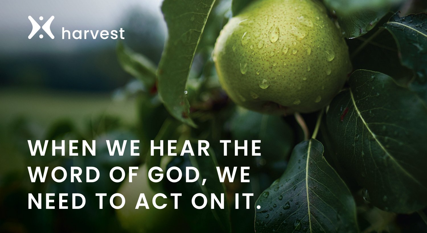 When we hear the Word of God, we need to act on it. When we hear the Word of God, we need to act on it.